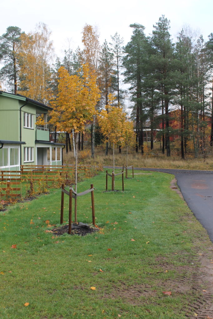 Ny utemiljö Gitarrgatan